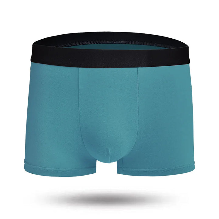 Mens Underwear Boxers Trunk Coton Innerwear Underwears Underware Lighter - Shaners Merchandise